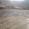 Buy cheap High Tensile Strength Plastic Uniaxial Biaxial Geogrid Mesh Reinforcement from wholesalers