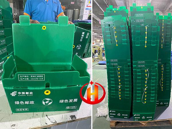 Buy cheap Recyclable Corrugated Plastic Mail Trays With Lids Printable Correx from wholesalers