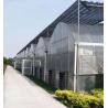 Buy cheap Initial Payment Large Pepper and Flower Hydroponic with Film Greenhouse Full Payment from wholesalers