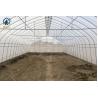 Buy cheap Commercial Agriculture High Tunnel Green Houses Single Span Metal Frame Greenhouse from wholesalers