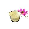 Buy cheap Plastic Wasp Trap Bee Hive Equipment Hornet Bee Trap Catcher Wasp Trap from wholesalers