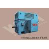 Buy cheap IE4 Three Phase Electric Motor Speed Control High Voltage ISO9001 from wholesalers