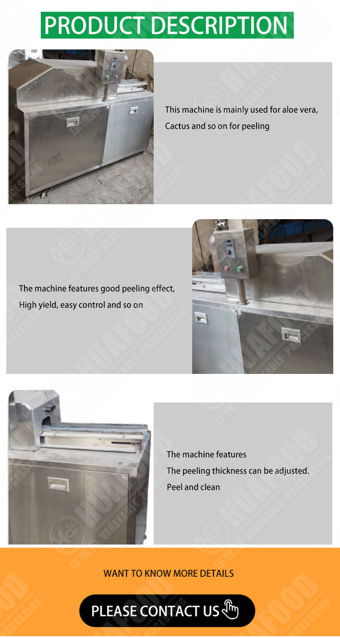 Automatic Aloe Vera Peeling Machine/Aloe Vera Extraction Machine