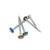 Buy cheap RAL9005 Black 50mm Plastic Head Nails A4 Stainless Steel Ring Shank Nail from wholesalers