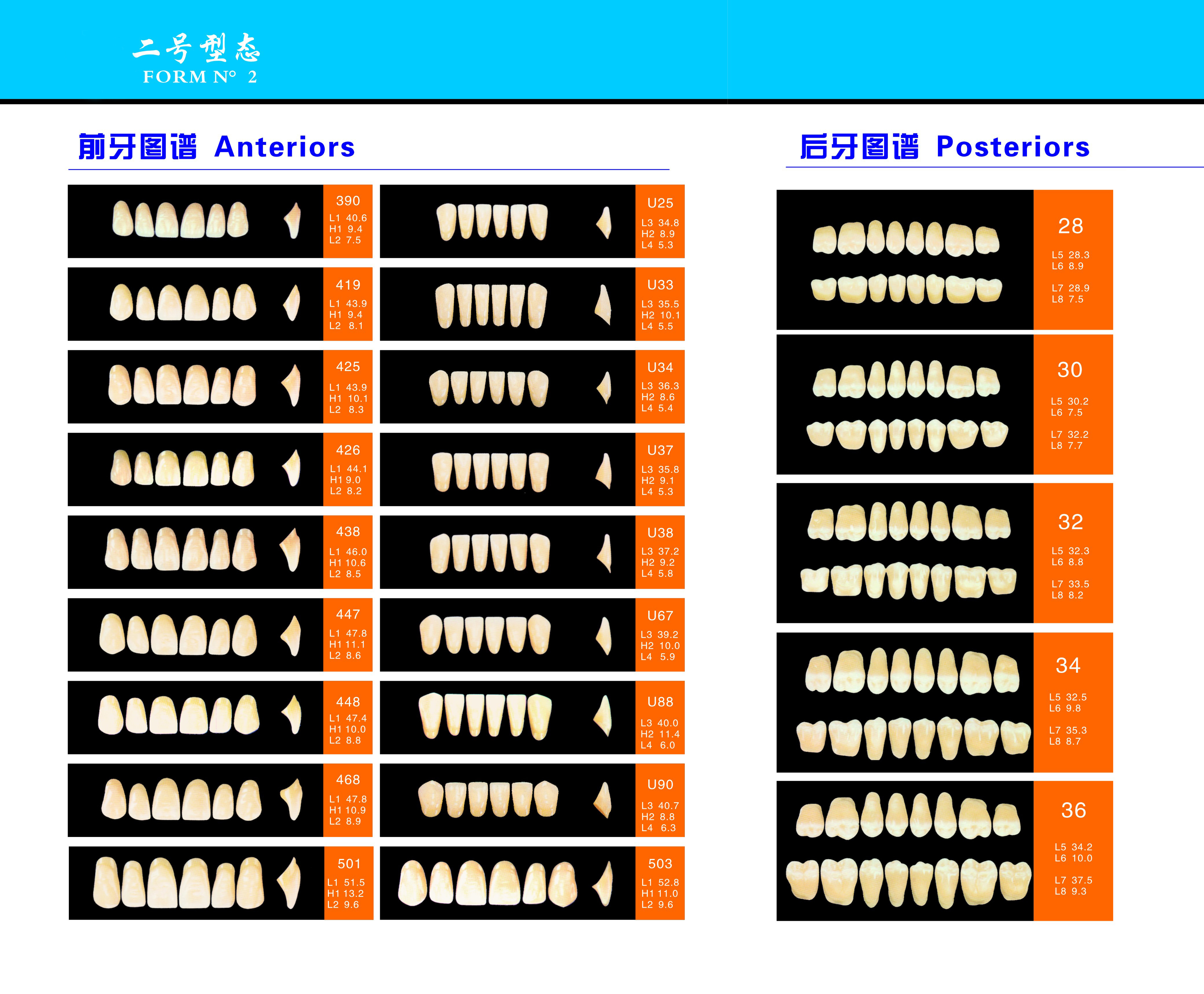 Whitening Composite Resin Teeth For Denture Kit Super Hard 2 Layers