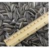 Buy cheap Raw Sunflower Seeds Pp Woven Bag Seed Dried Sack Packaging Sun Flower Natural Color 361 Black 200-270 Raw Materials High Grade from wholesalers