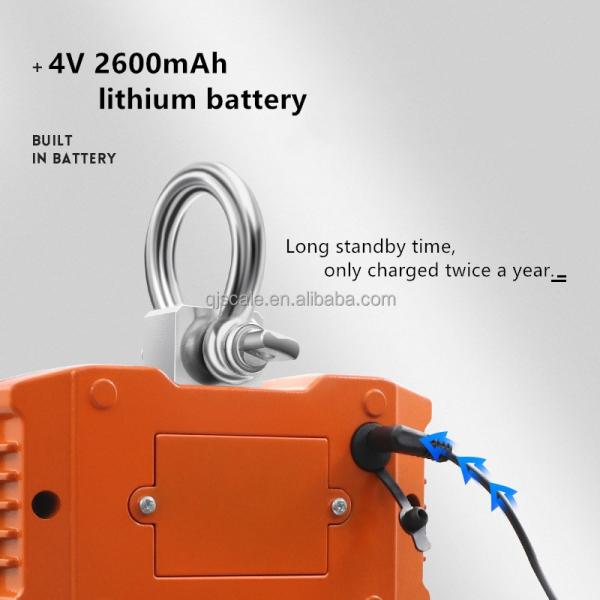 Best Seller Weighing Scale 500Kg Electronic Hanging Crane Scale with Weight Function and 0.1/0.2/0.5kg Division