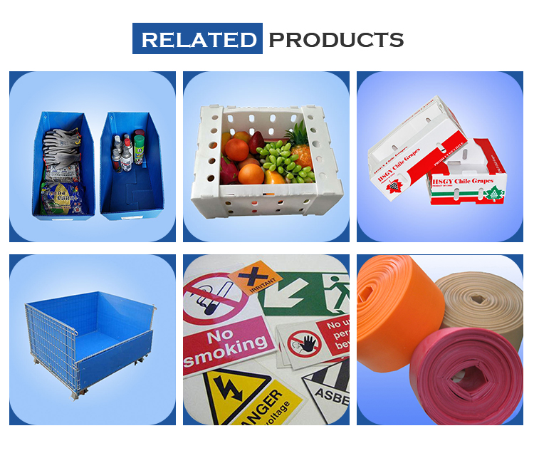 White PP Corrugated Plastic Box , Foldable Corrugated Plastic Box