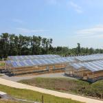 Commercial Greenhouse Solar System Electric Power Galvanized Surface Treatment