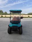 Blue 4-Seater Electric Golf Cart ODM OEM Support For Customization For Golf