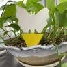 Buy cheap Affordable and Plants Garden Insert Yellow Glue Sticky Fly Insect Termite Trap Killer from wholesalers