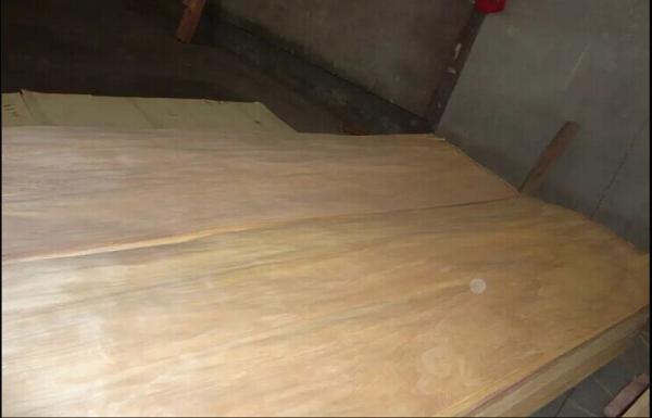 Buy cheap Nature Rotary Cut Birch Veneer Sheet A grade , Natural Wood Veneer from wholesalers
