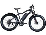 Hot Sale Electric Mountain Bike 26 Inch Fat Tire Electric Bicycle 48V 750W