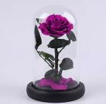Forever Real Rose Everlasting Flower Preserved Fresh Flower Live Enchanted Rose