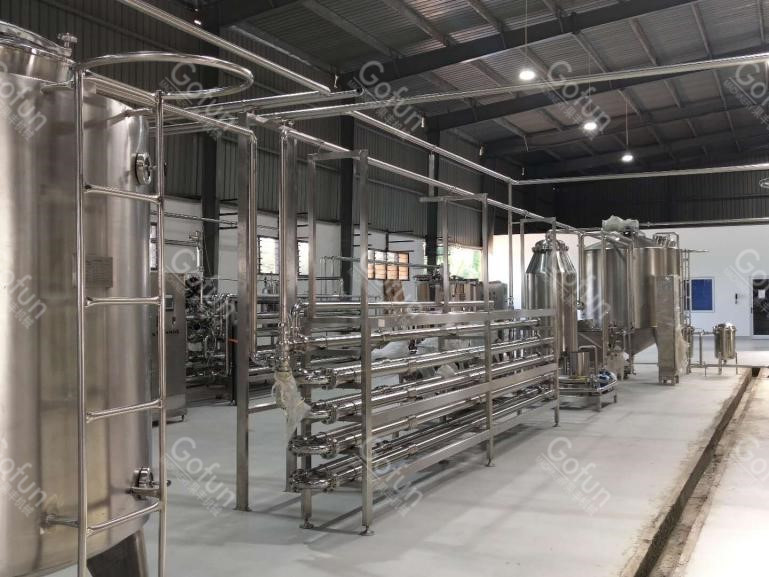 300T/D SS316L Mango Processing Line Concentrating Sterilizing