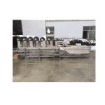 1000kg/hr Industrial Full Automatic IQF Frozen Green Peas Processing Machine