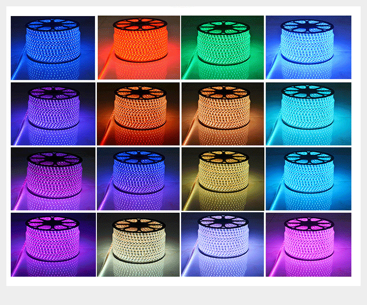 240V/230V/110V/220V RGB 5050 LED Strip Lights for Landscape with Remote IP65 Plastic Body