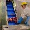 Buy cheap Flush grid belts conveyors raised rib belting conveyors inclind conveyor systems from wholesalers