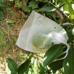 Polypropylene NonWoven Fruit Tree Protection Bags 18gsm