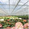 Buy cheap Wind Resistant Prefabricated Multi Span Greenhouse Venlo Type Greenhouse from wholesalers