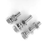 Silver Bolts in Convenient Plastic Bag - Reliable and Efficient Fastening
