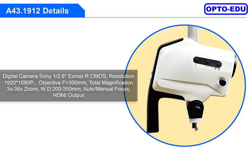 OPTO EDU A43.1912 Digital Video Colposcope HDMI LED Continuous Zoom 3x-36x Straight Stand