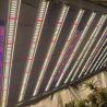 Buy cheap RedFarm 1500W Horticulture LED Grow Light Samsung LM301H Osram 660nm 730nm from wholesalers