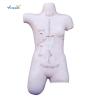 Buy cheap Surgical Suture And Bandaging PVC Human Torso Model from wholesalers