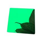 Green Mirror Stainless Steel Sheet Metal 1219x3048mm Corrosion Resistance