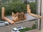 Buy cheap Cat Window Amazon Cat Hammock-Seat Furniture-Bad from wholesalers