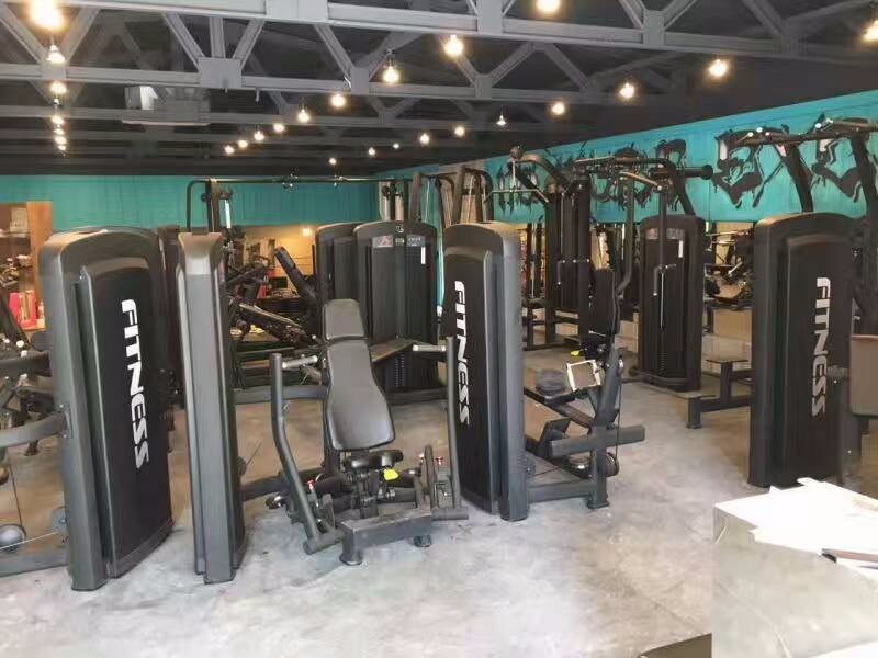 Pin Loaded Shoulders Arms Bicep Tricep Curl Machine Fitness Equipment