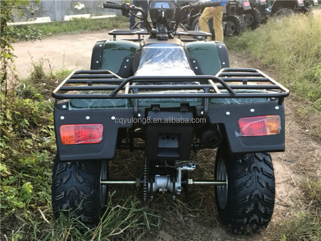 CE certified 200cc balance bar engine bike ATV quad with 800W motor and 60V voltage