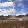Buy cheap Stable Structure Polyethylene Film Greenhouse / Vegetable Tomato Plant Greenhouse from wholesalers