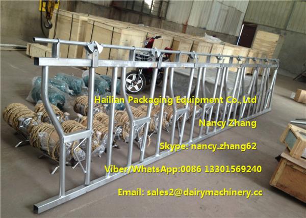 Buy cheap Large Farm Equipment Dairy Cows Cattle Head Lock Locking And Feeding from wholesalers