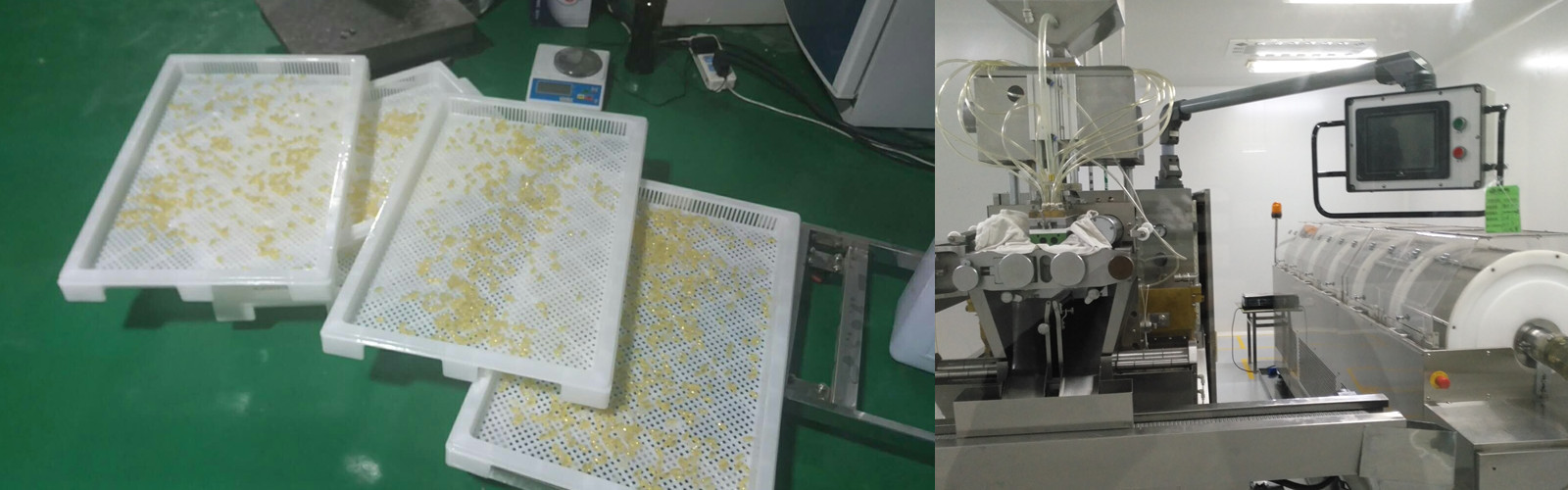 Injection Wedge / Softgel Capsule Filling Machine Parts molds die roll tooling wedge