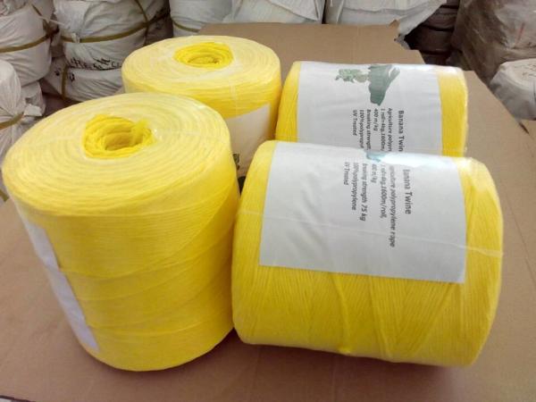 Quality UV Treated 4mm Diameter Polypropylene Twine Agriculture Plastic Packing Rope for sale