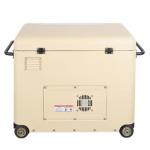 Portable Electric Start Diesel Power Generator Force Air Cooled OEM