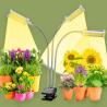Buy cheap 12W 3Heads LED Clip Grow Light Dimmable Table Clip Lamp Full Spectrum from wholesalers