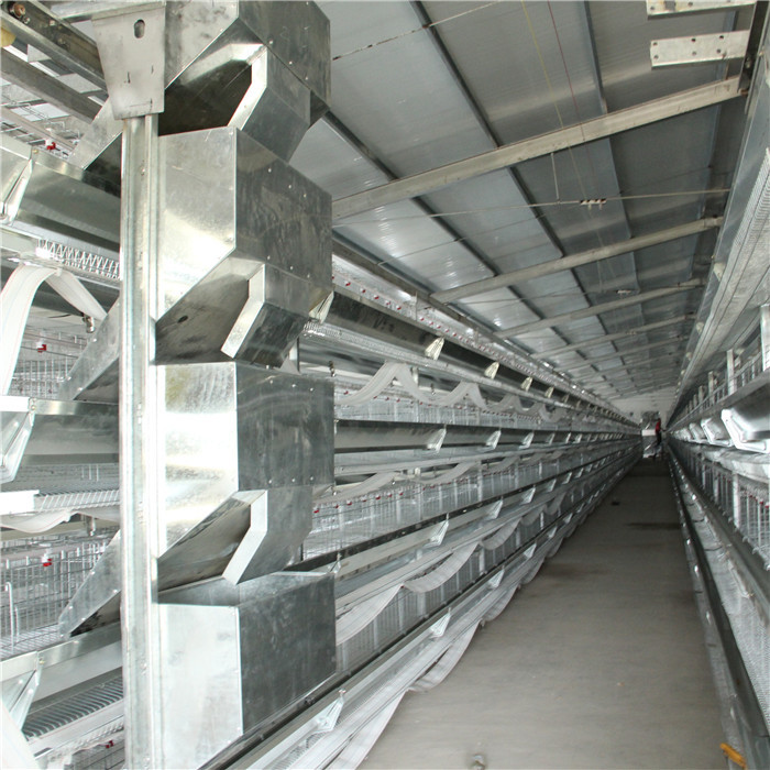 Customized Available Battery Layer Chicken Cage Chicken Poultry Farms