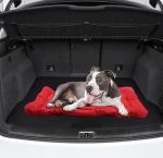 Travel Waterproof Outdoor Cat Blanket 5cm Thick PP Cotton