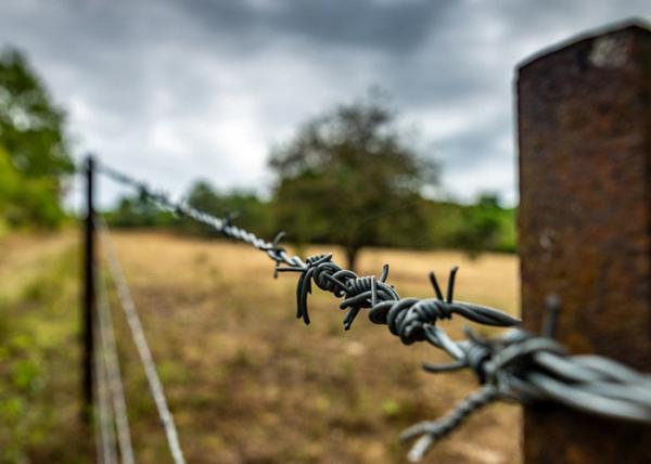Buy cheap Garden Anti-Theft Single Strand Stainless Steel Barbed Wire Price Per Roll from wholesalers