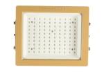 Marine Fluorescent Explosion Proof LED Flood Light With 10mm Toughened Glass