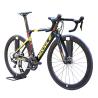 Buy cheap 13kg Gross Weight Light Weight Carbon Fiber Road Bike For Market Promotion from wholesalers