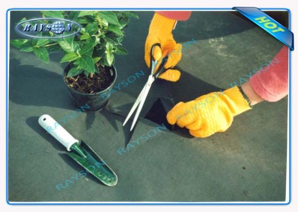Black 40 Gram Heavy Duty Agriculture Non Woven Cover , Weed Control Cloth With