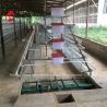 Buy cheap 2.2m Layer Battery Cage System For Capacity 120-200 Chickens Adela from wholesalers
