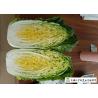 Buy cheap Healthy All Season Cabbage , Chinese Green Cabbage No Putrefaction For Salad Factory from wholesalers