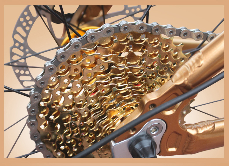 Gold 30 Speed 26x4.0 Inch Fat Wheel Mountain Bike