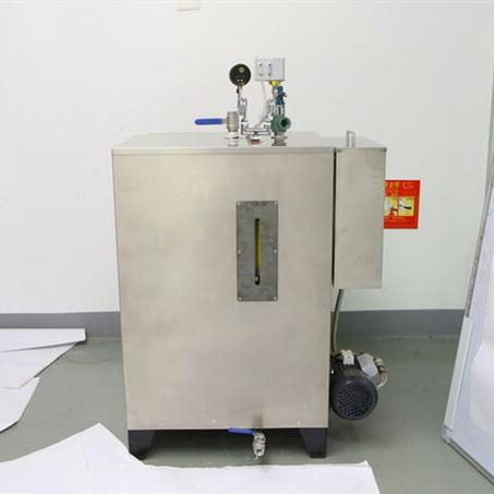 Oven Barbecue Cleaning Portable Steam Generator Boilers 36kw Thermal Energy