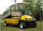 Electric Powered Utility Golf Cart 2 Passenger With Rear Cargo Bed