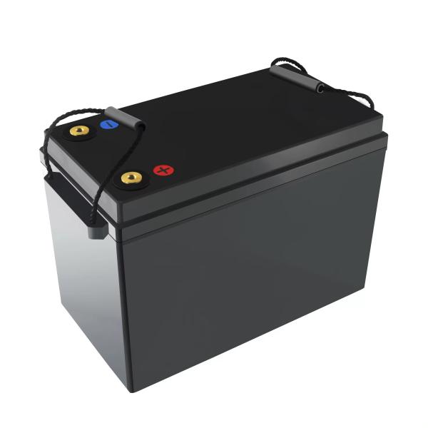 Ultra Lightweight 24V 100AH Lithium Battery 6000 Cycle Longevity For Bicycle /